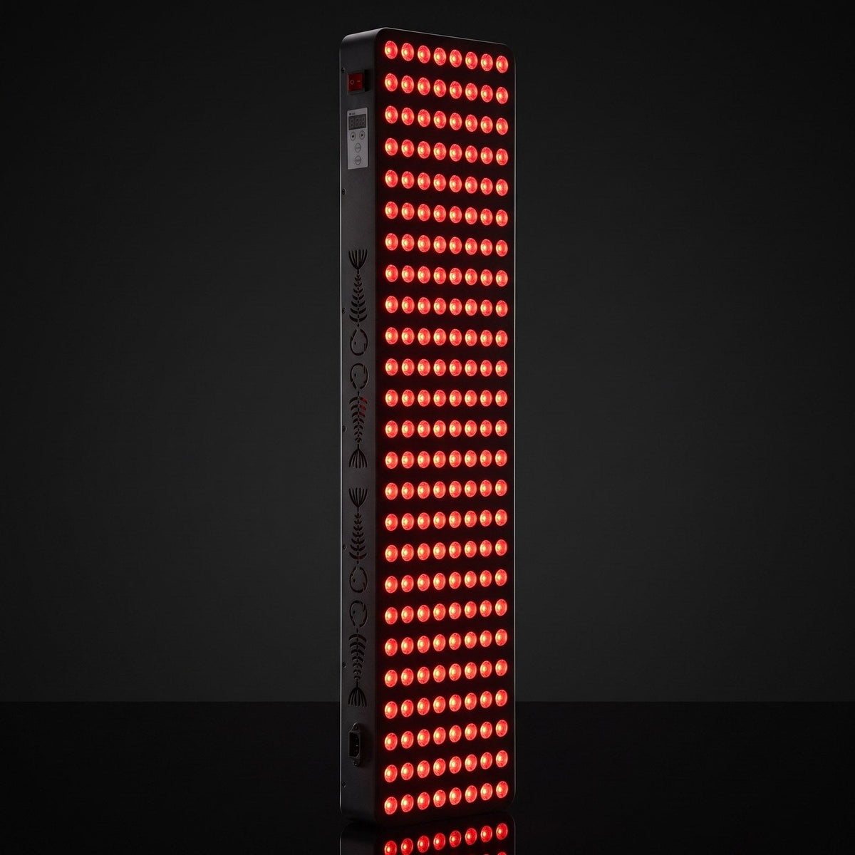 S1000 LEDs on
